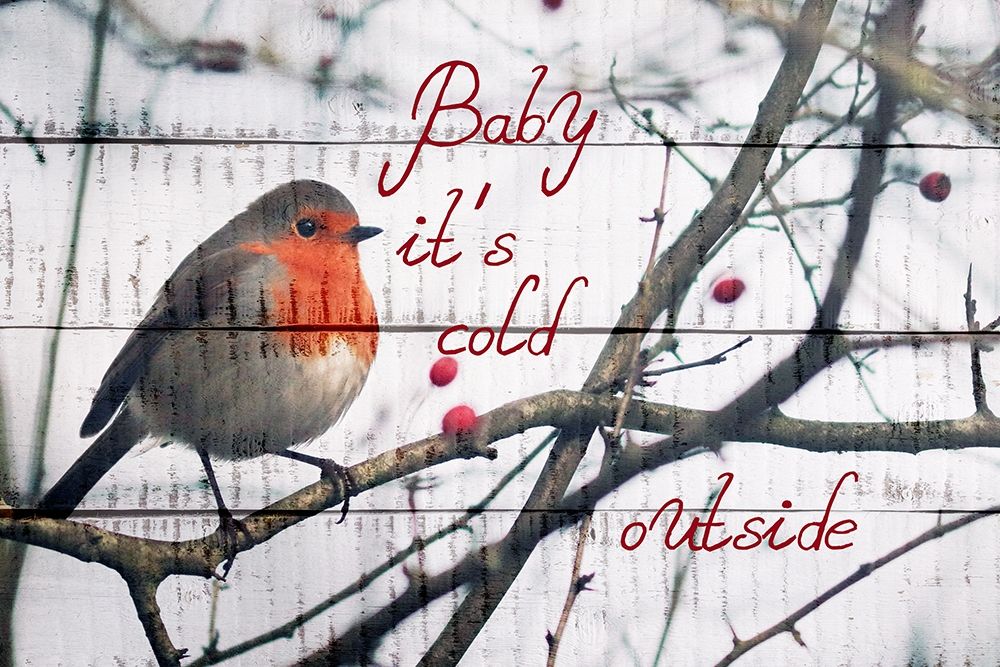 Cold Christmas art print by Jamie Phillip for $57.95 CAD