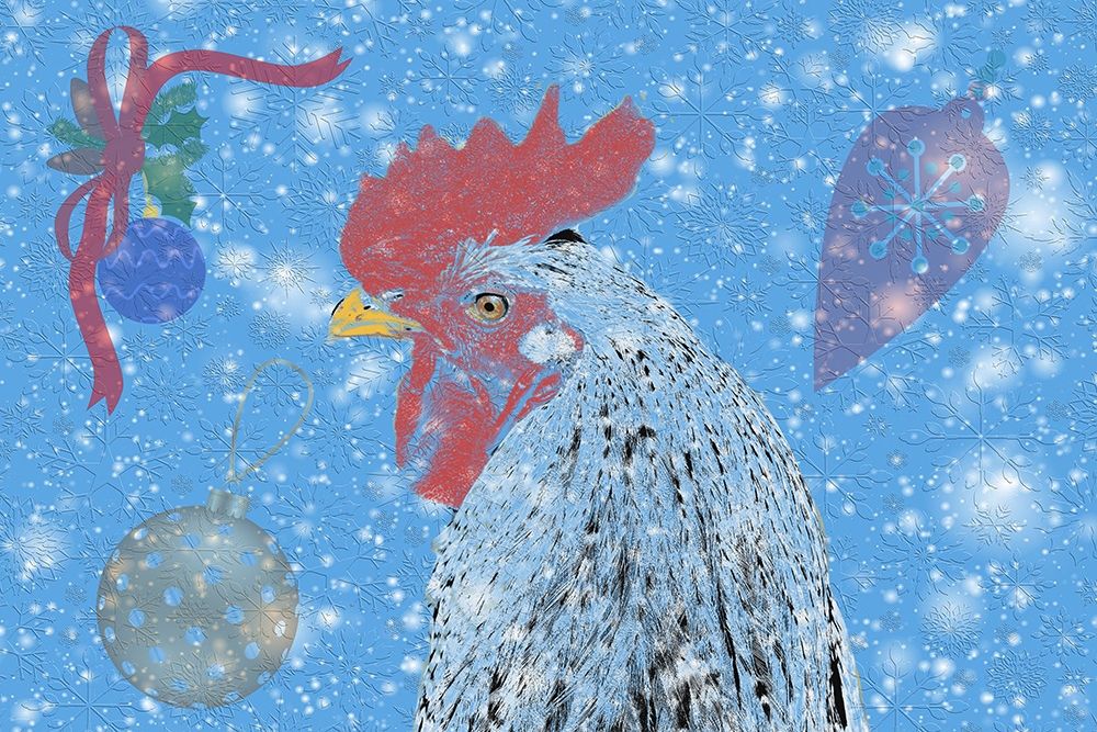 Rooster art print by Jamie Phillip for $57.95 CAD