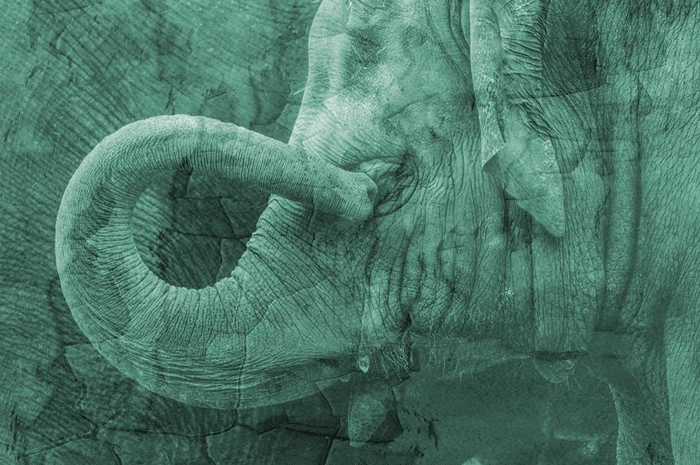 Jungle Abstract 1 art print by Jamie Phillip for $57.95 CAD