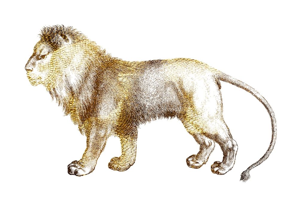 Leo art print by Jamie Phillip for $57.95 CAD
