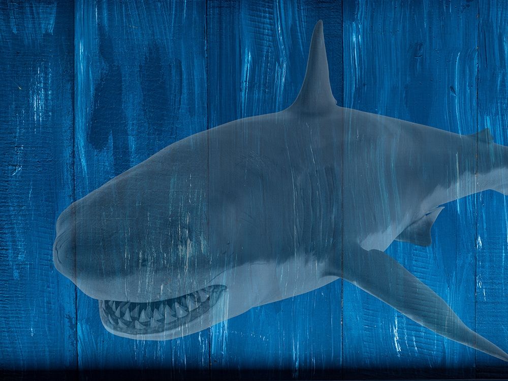 Man Cave Shark art print by Jamie Phillip for $57.95 CAD