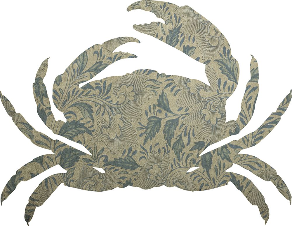Sea Crab art print by Jamie Phillip for $57.95 CAD