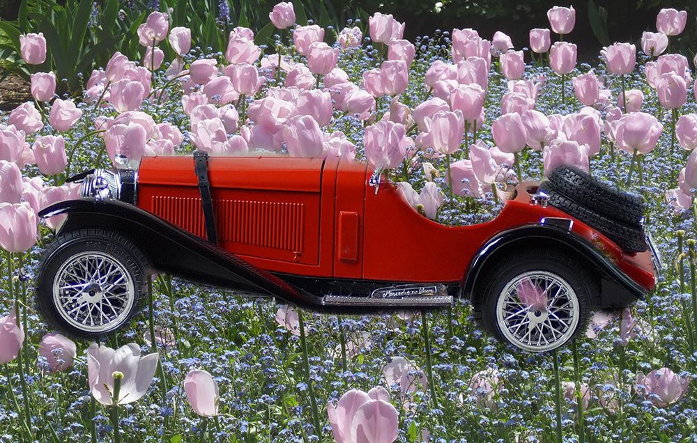 Flower Car art print by Jamie Phillip for $57.95 CAD