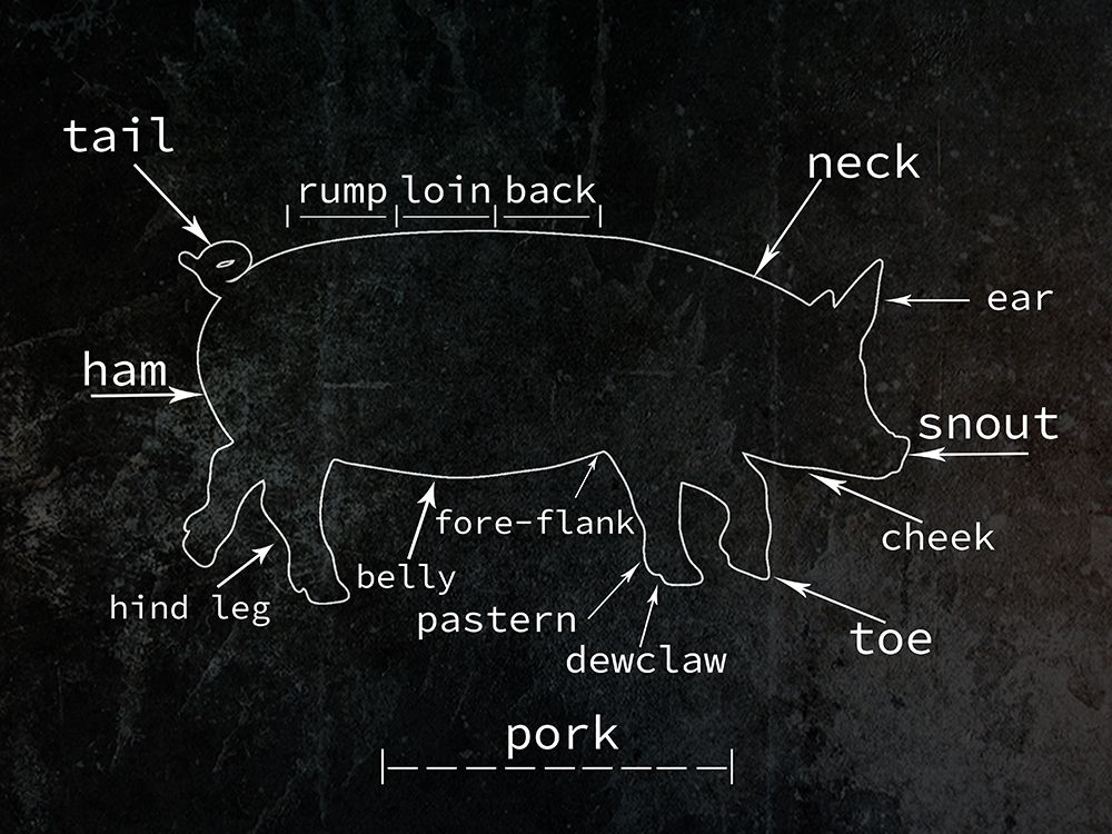 Pig art print by Jamie Phillip for $57.95 CAD