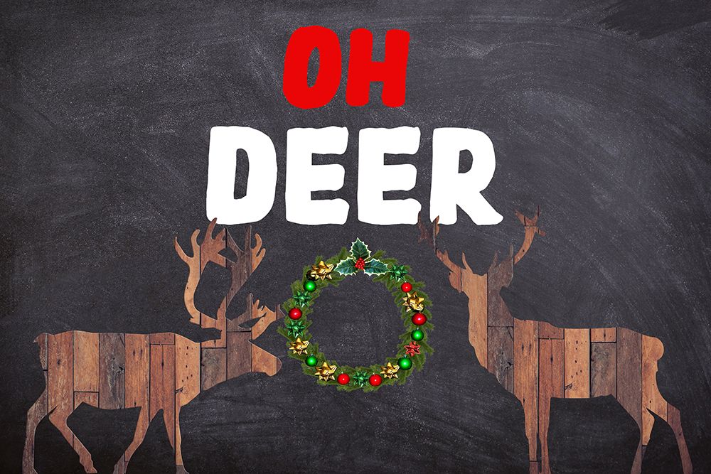 Oh Deer! 2 art print by Jamie Phillip for $57.95 CAD