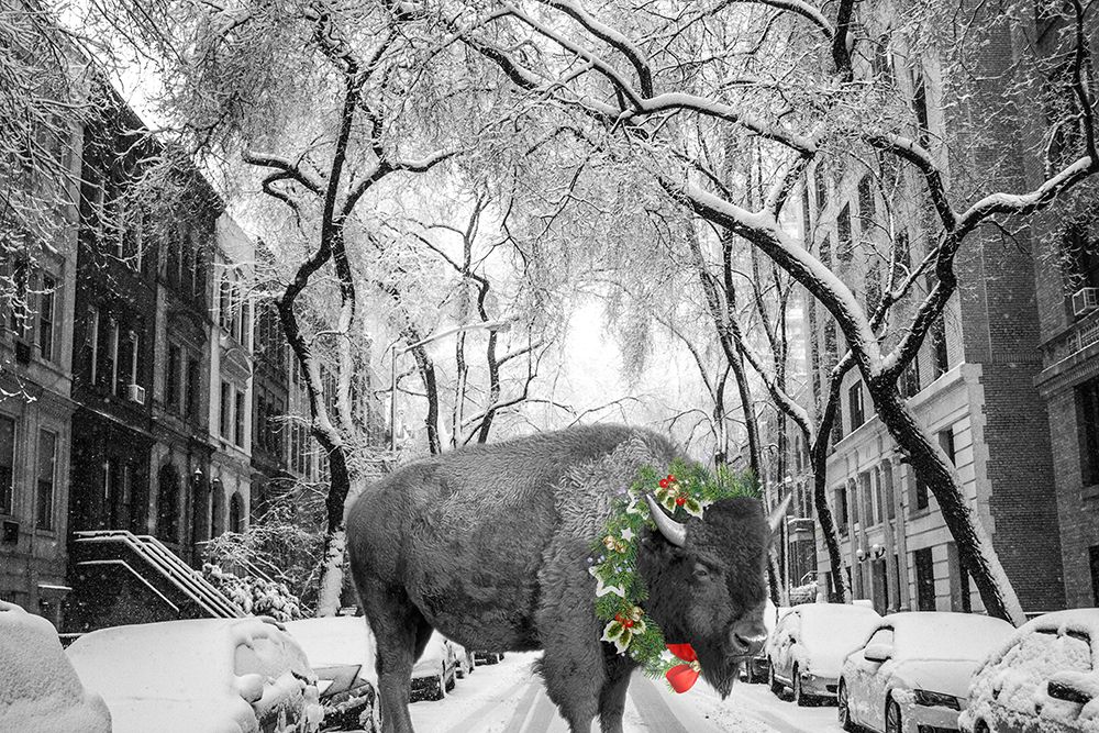 Buffalo Christmas art print by Jamie Phillip for $57.95 CAD