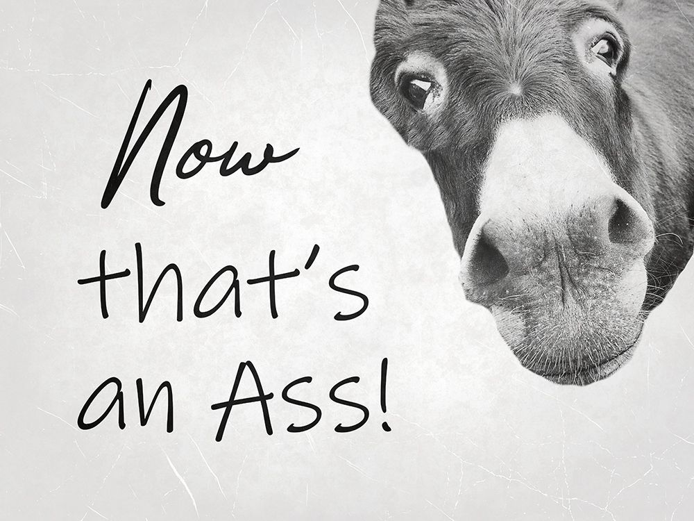 Ass art print by Jamie Phillip for $57.95 CAD