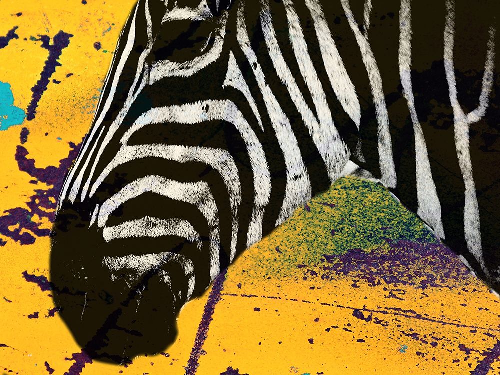 Africa Savanna art print by Jamie Phillip for $57.95 CAD