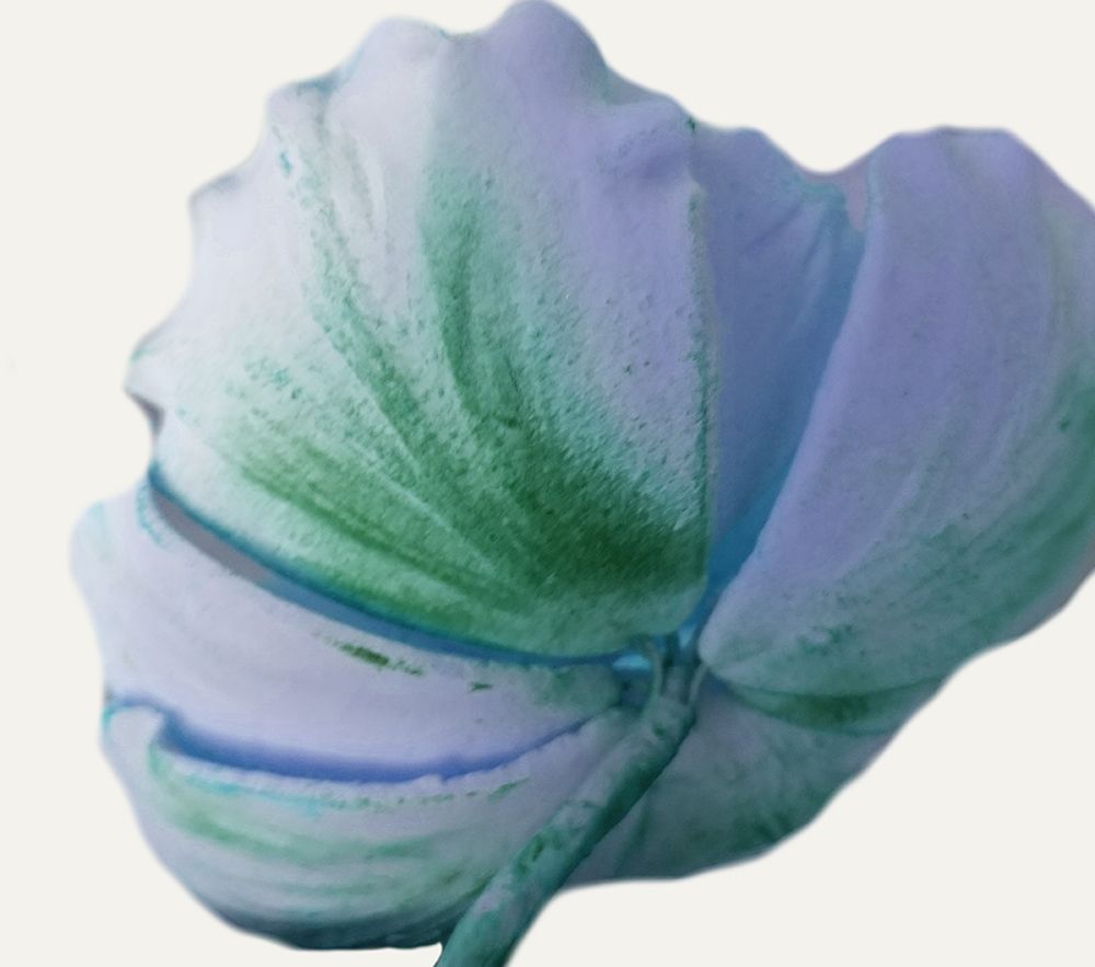 Florest Delight Jade art print by Jamie Phillip for $57.95 CAD