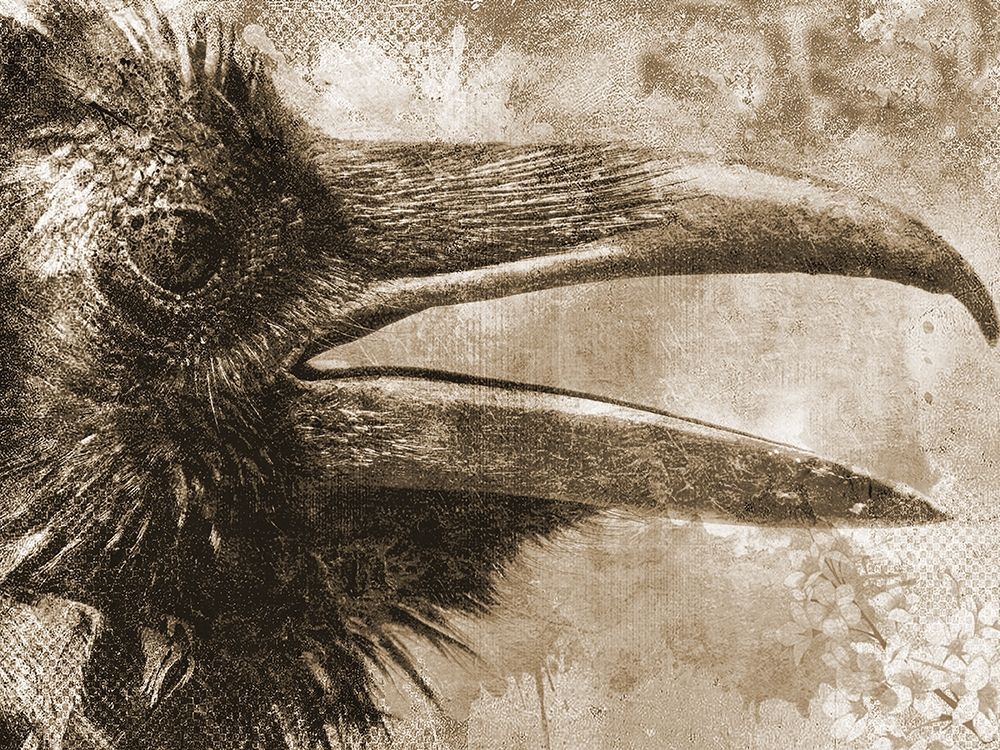 Natural Nutral art print by Jamie Phillip for $57.95 CAD