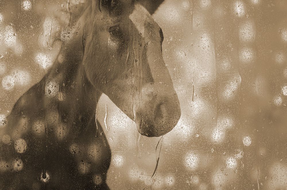 Browney Farm Horse art print by Jamie Phillip for $57.95 CAD