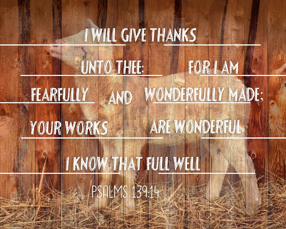 King David Psalm art print by Jamie Phillip for $57.95 CAD