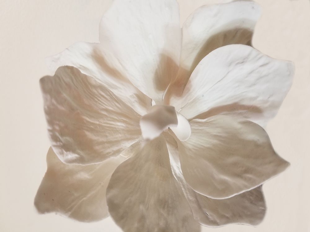 Pure Life 1 art print by Jamie Phillip for $57.95 CAD
