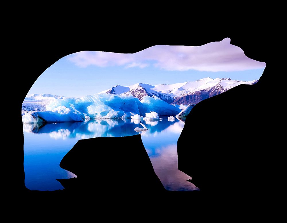 Polar Bear art print by Jamie Phillip for $57.95 CAD