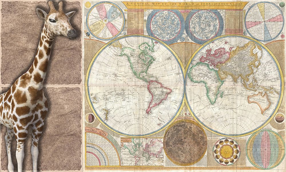 African Map art print by Jamie Phillip for $57.95 CAD