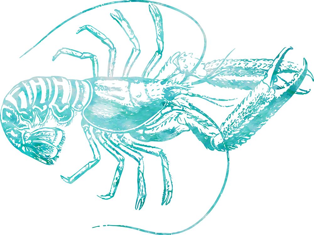 Lobster art print by Jamie Phillip for $57.95 CAD