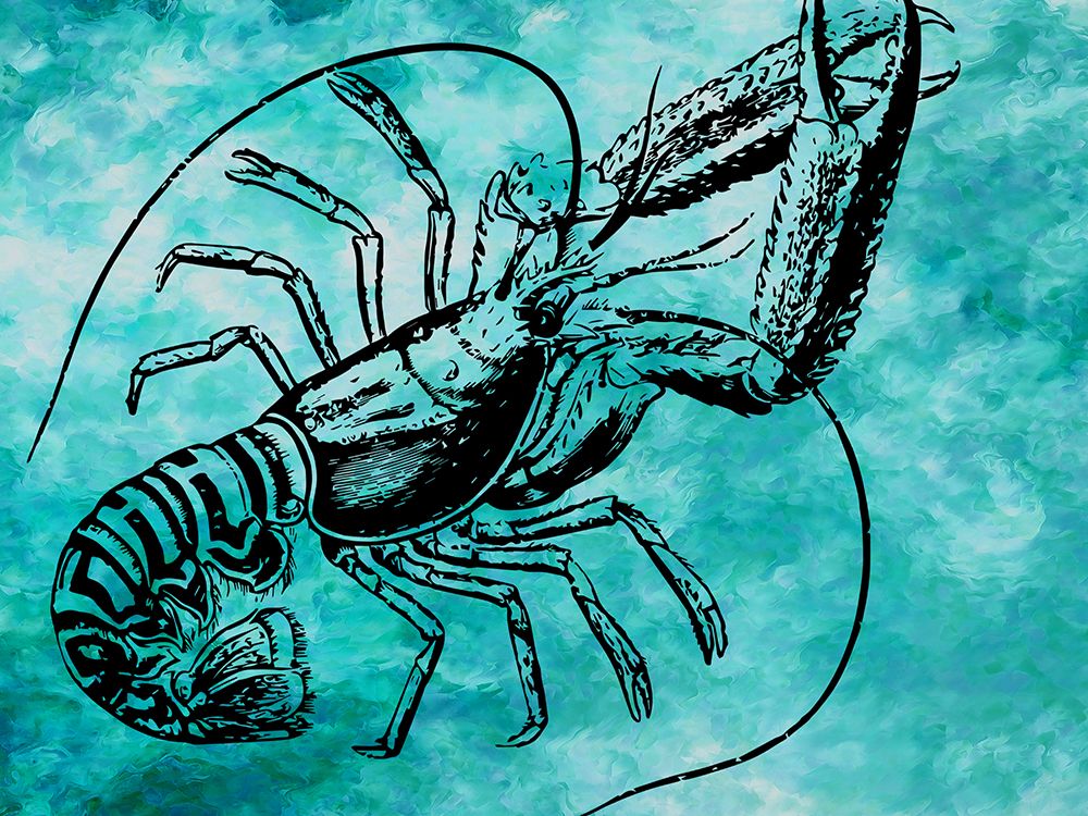Lobster 2 art print by Jamie Phillip for $57.95 CAD