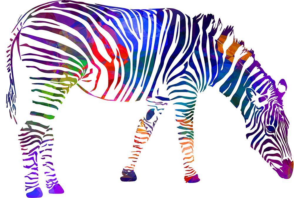 Zebra art print by Jamie Phillip for $57.95 CAD