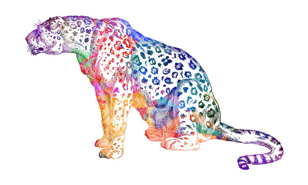 Big Cat art print by Jamie Phillip for $57.95 CAD