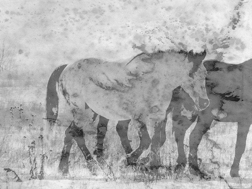 Ranch Horse art print by Jamie Phillip for $57.95 CAD