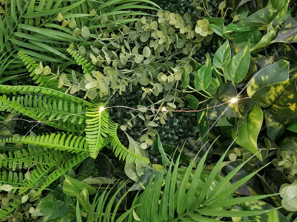 Greenery art print by Jamie Phillip for $57.95 CAD