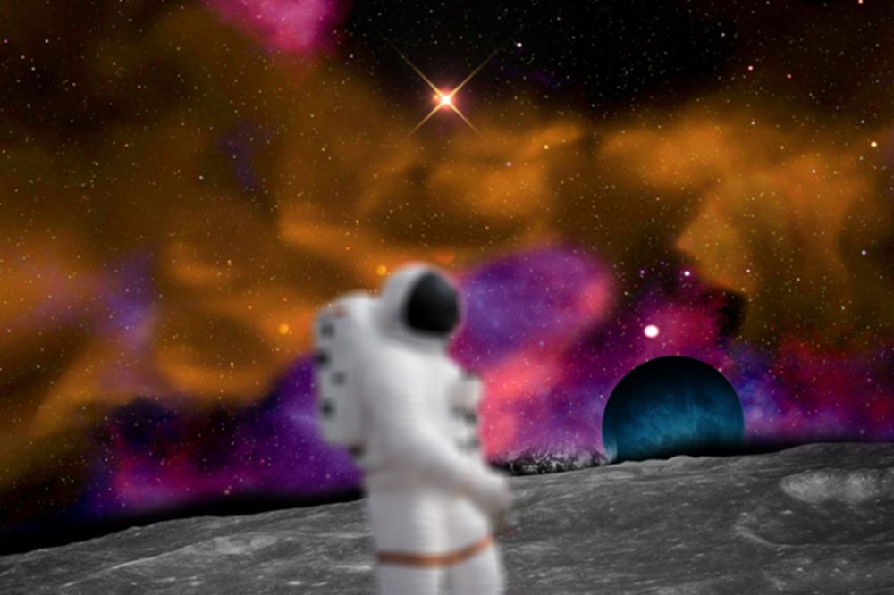 Space Bud art print by Jamie Phillip for $57.95 CAD