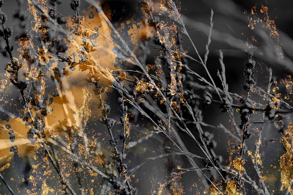 Gold Sticks art print by Jamie Phillip for $57.95 CAD
