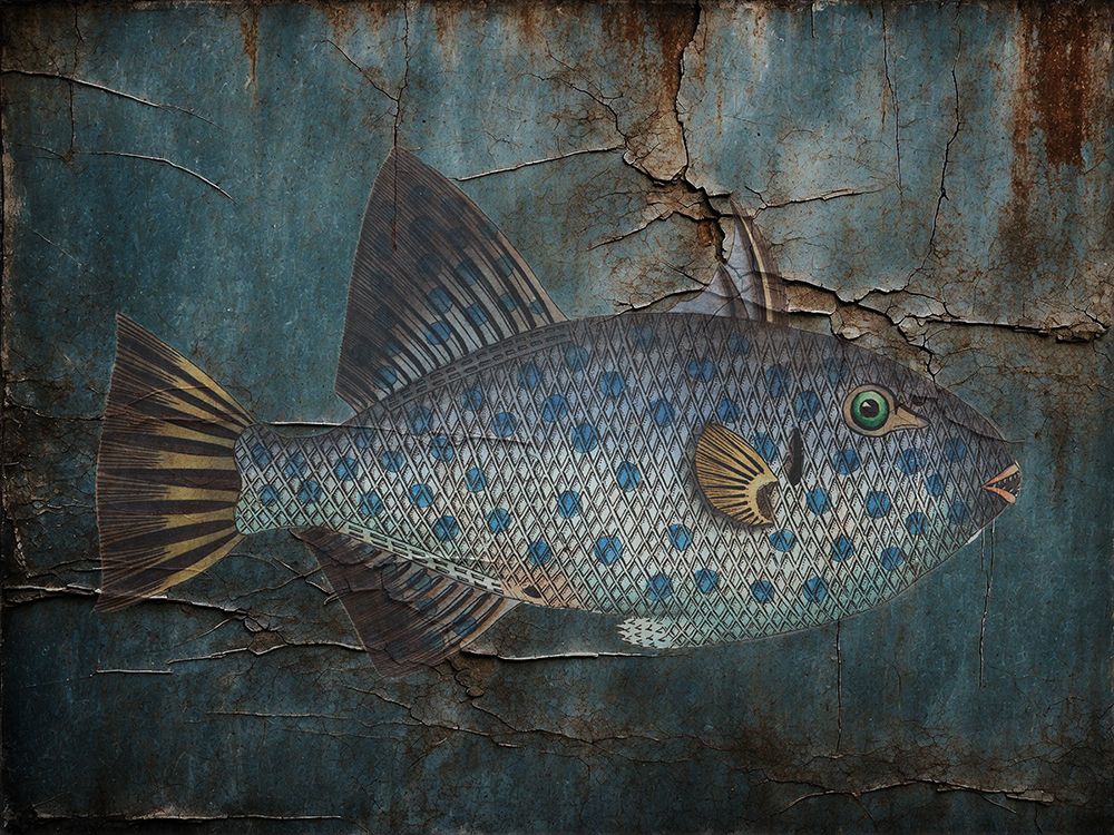 Fish Pot art print by Jamie Phillip for $57.95 CAD