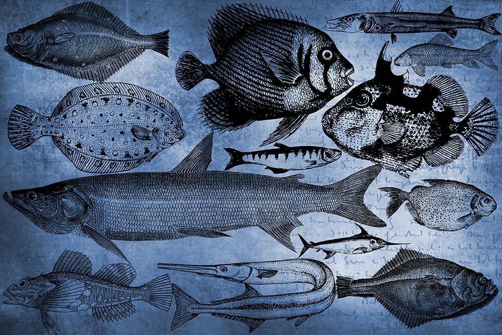 Ocean Blue art print by Jamie Phillip for $57.95 CAD