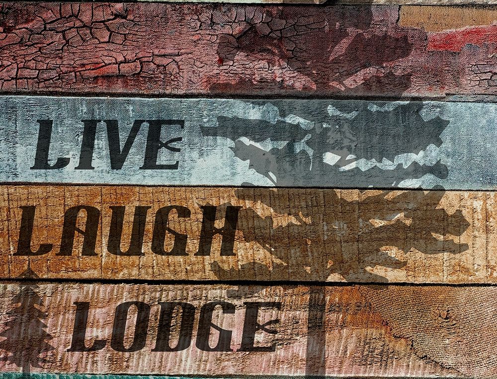 Lodge art print by Jamie Phillip for $57.95 CAD