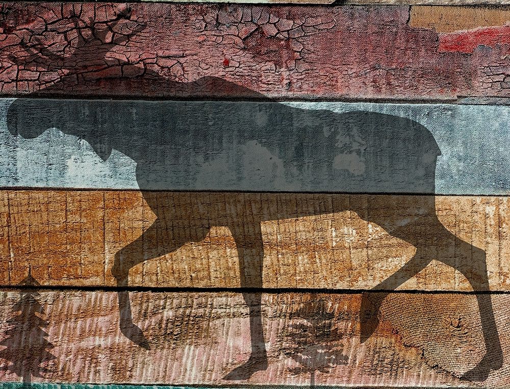 Lodge Animal art print by Jamie Phillip for $57.95 CAD