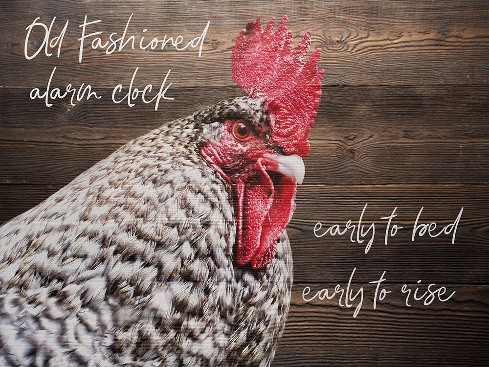 Rooster Clock art print by Jamie Phillip for $57.95 CAD