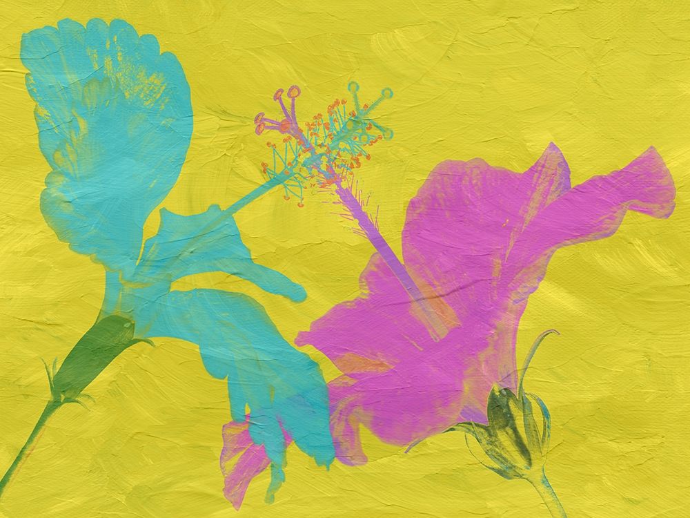 Colored Hib art print by Jamie Phillip for $57.95 CAD