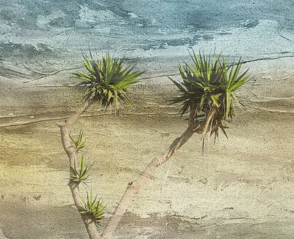 TrOPICAL Side art print by Jamie Phillip for $57.95 CAD