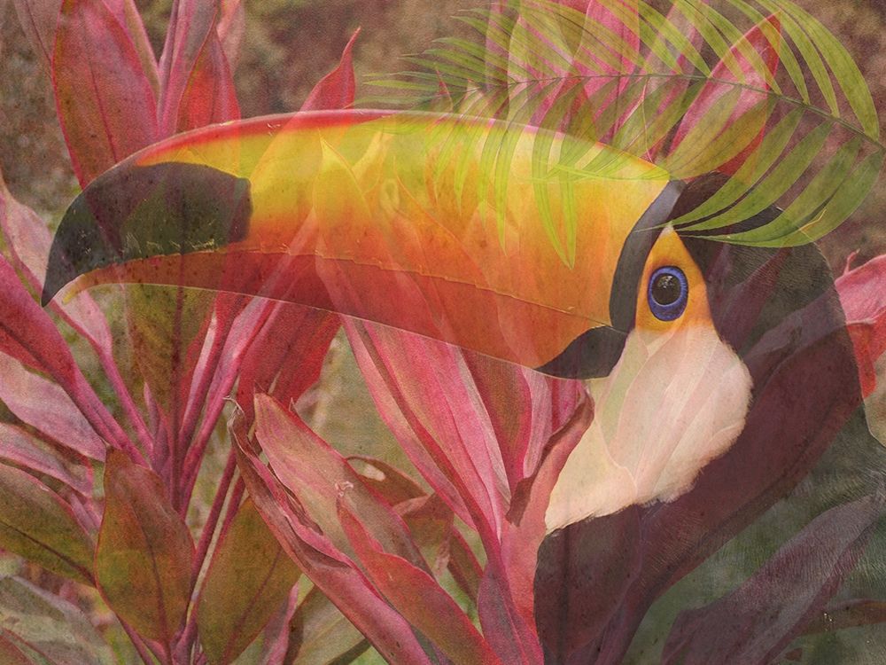 Island Bird art print by Jamie Phillip for $57.95 CAD