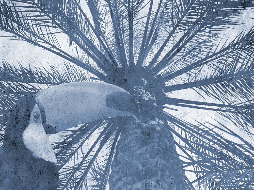 Blue Tropics art print by Jamie Phillip for $57.95 CAD