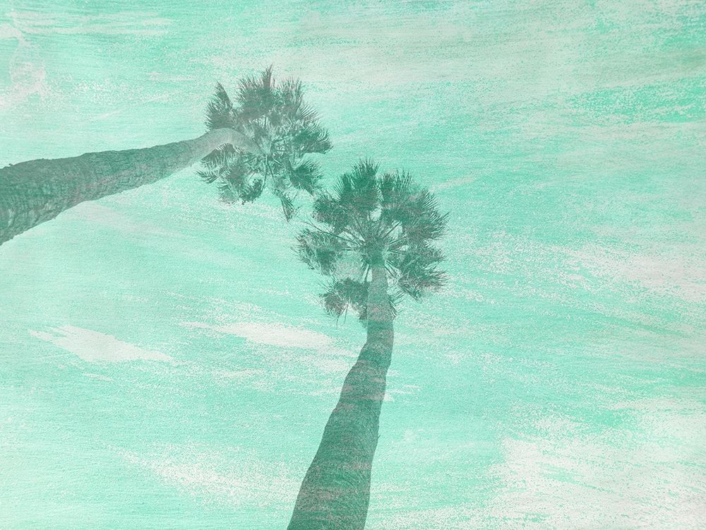 Aqua Palm art print by Jamie Phillip for $57.95 CAD