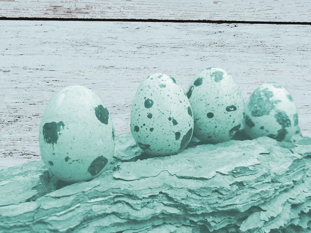 Hatched Of Blues art print by Jamie Phillip for $57.95 CAD