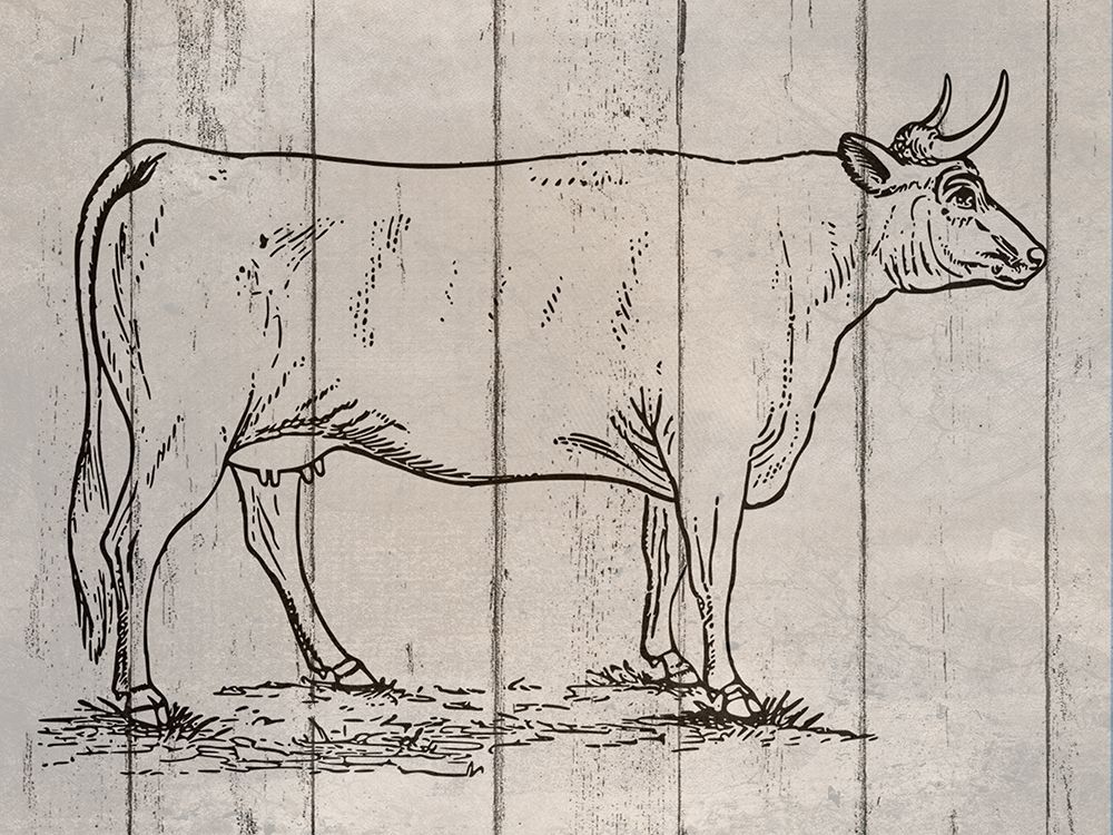 Cow art print by Jamie Phillip for $57.95 CAD