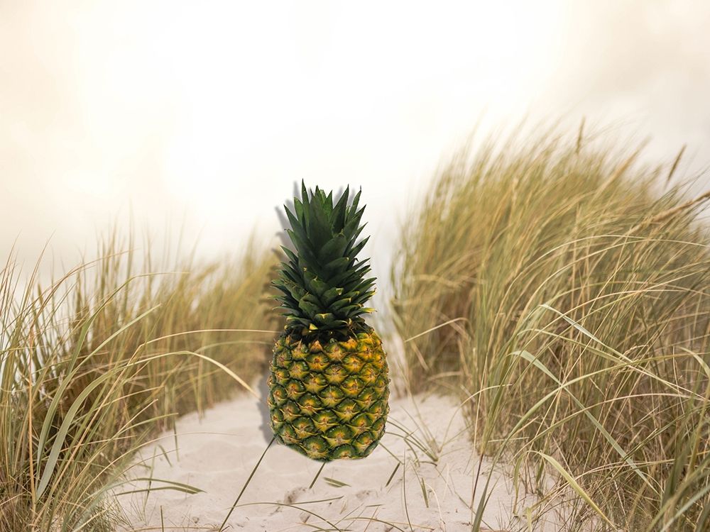 Pinebay art print by Jamie Phillip for $57.95 CAD