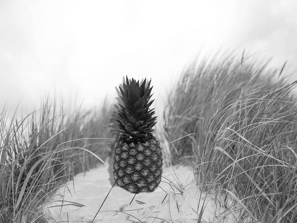 Pinebay 2 art print by Jamie Phillip for $57.95 CAD