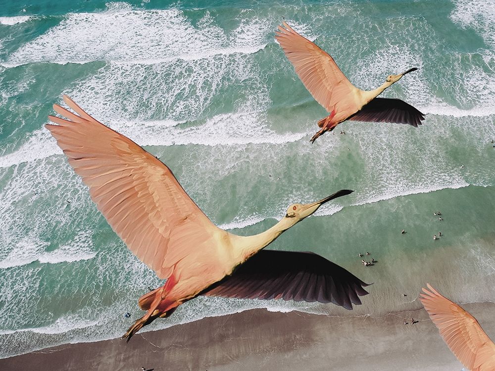 Fly High art print by Jamie Phillip for $57.95 CAD