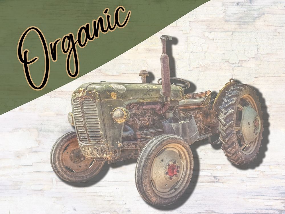 Organic Farm art print by Jamie Phillip for $57.95 CAD