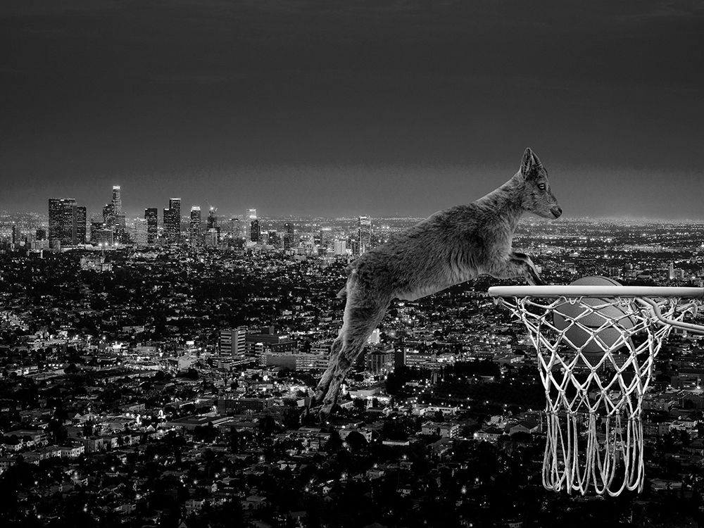 The Goat art print by Jamie Phillip for $57.95 CAD