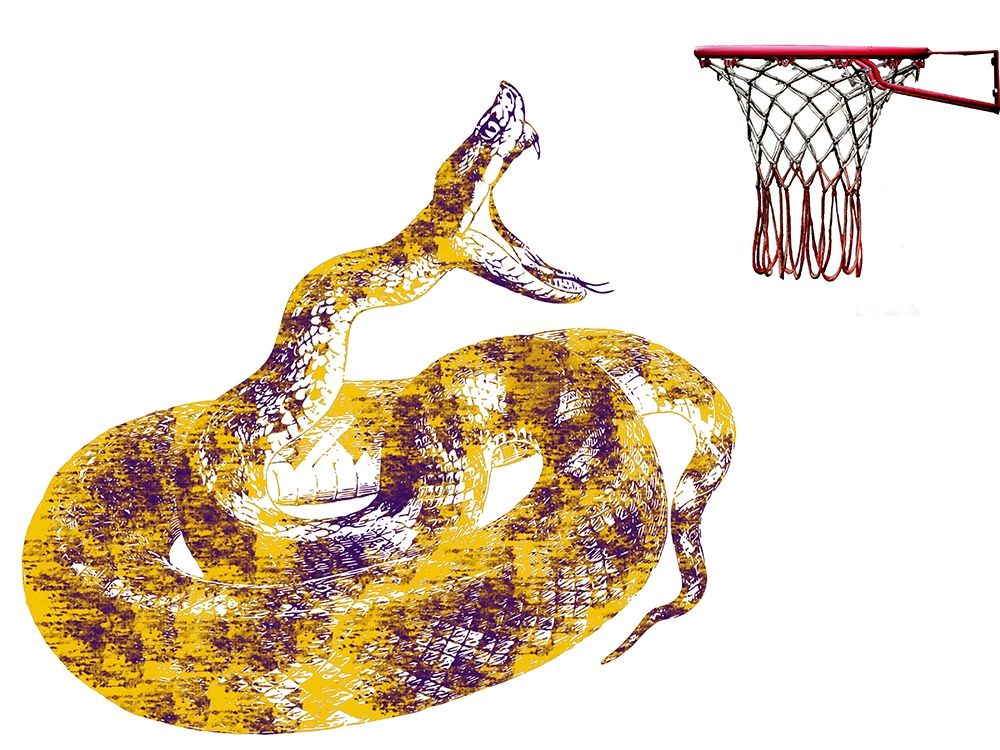 Mamba 2 art print by Jamie Phillip for $57.95 CAD