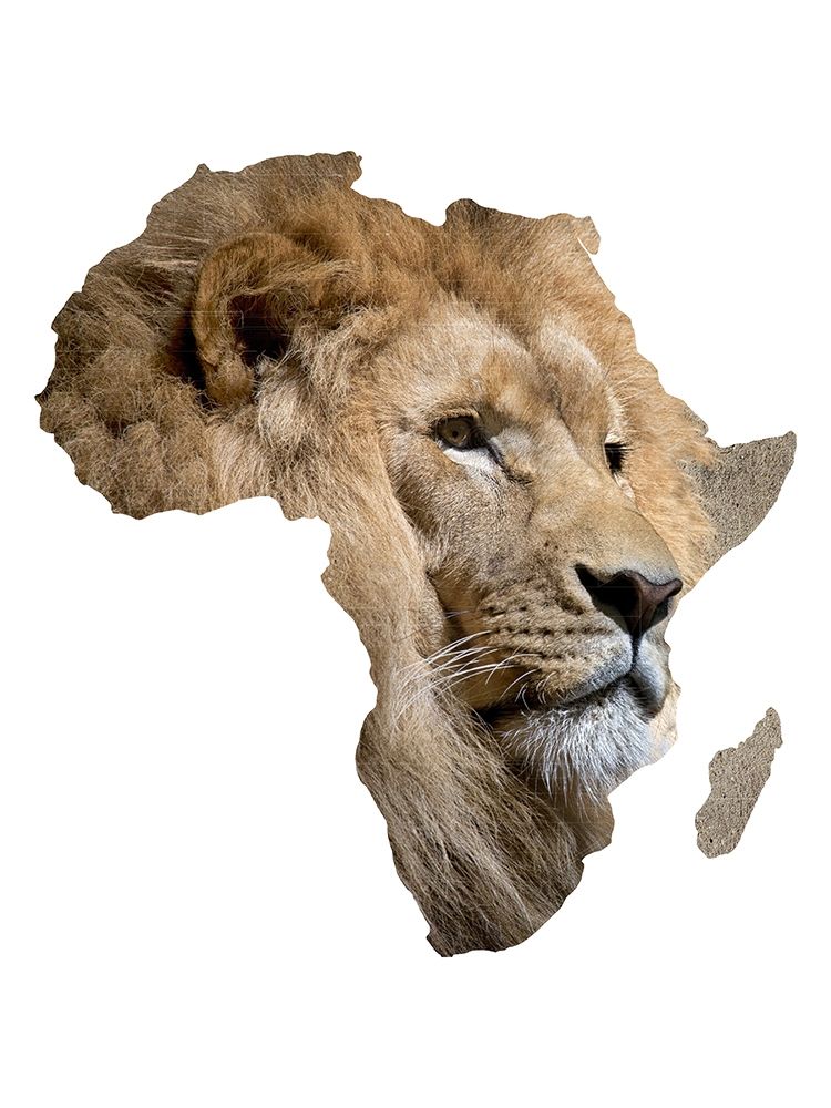 Africa art print by Jamie Phillip for $57.95 CAD