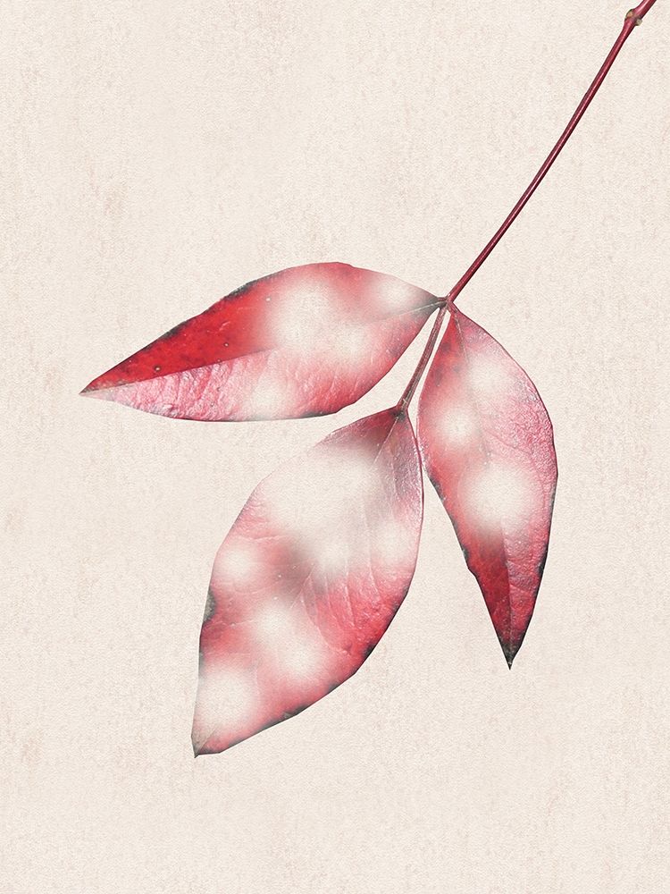 Red Fall art print by Jamie Phillip for $57.95 CAD