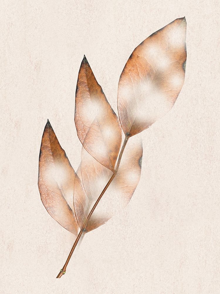 Brown Fall art print by Jamie Phillip for $57.95 CAD