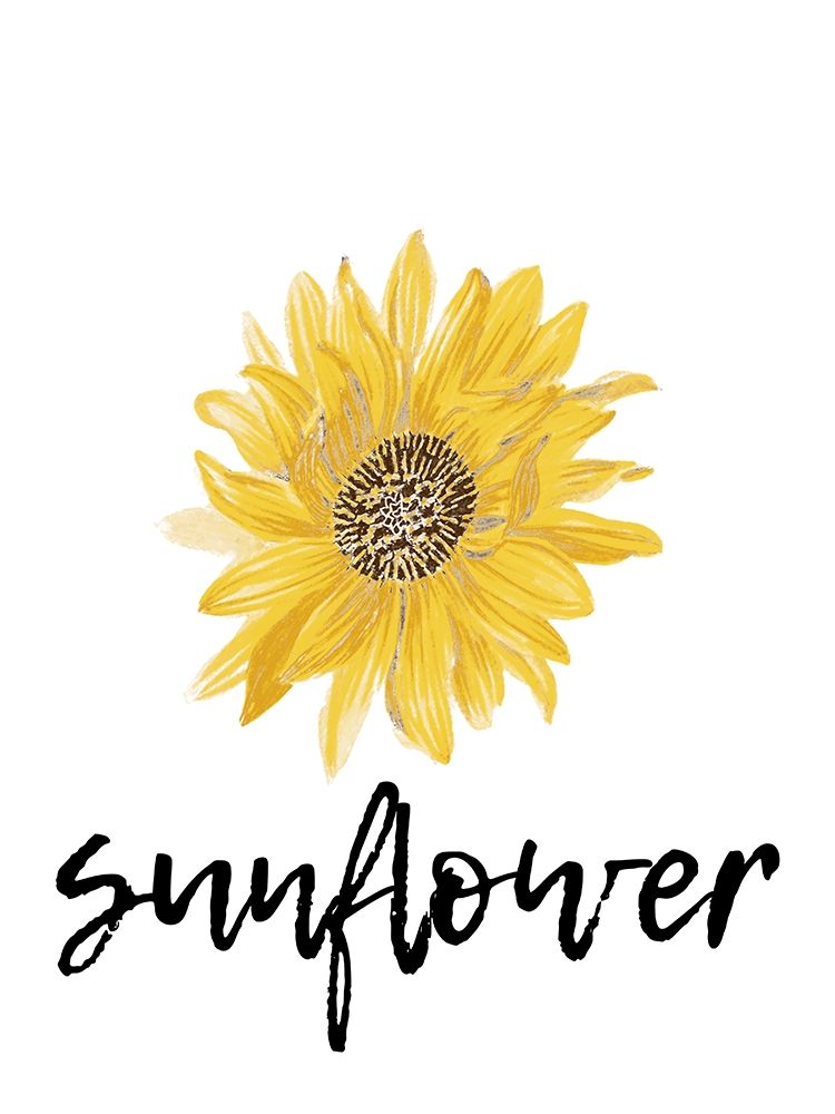 Sunflower art print by Jamie Phillip for $57.95 CAD