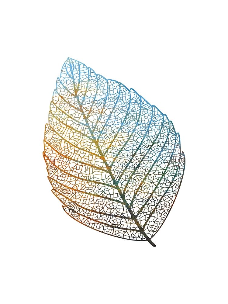 Beleaf 2 art print by Jamie Phillip for $57.95 CAD